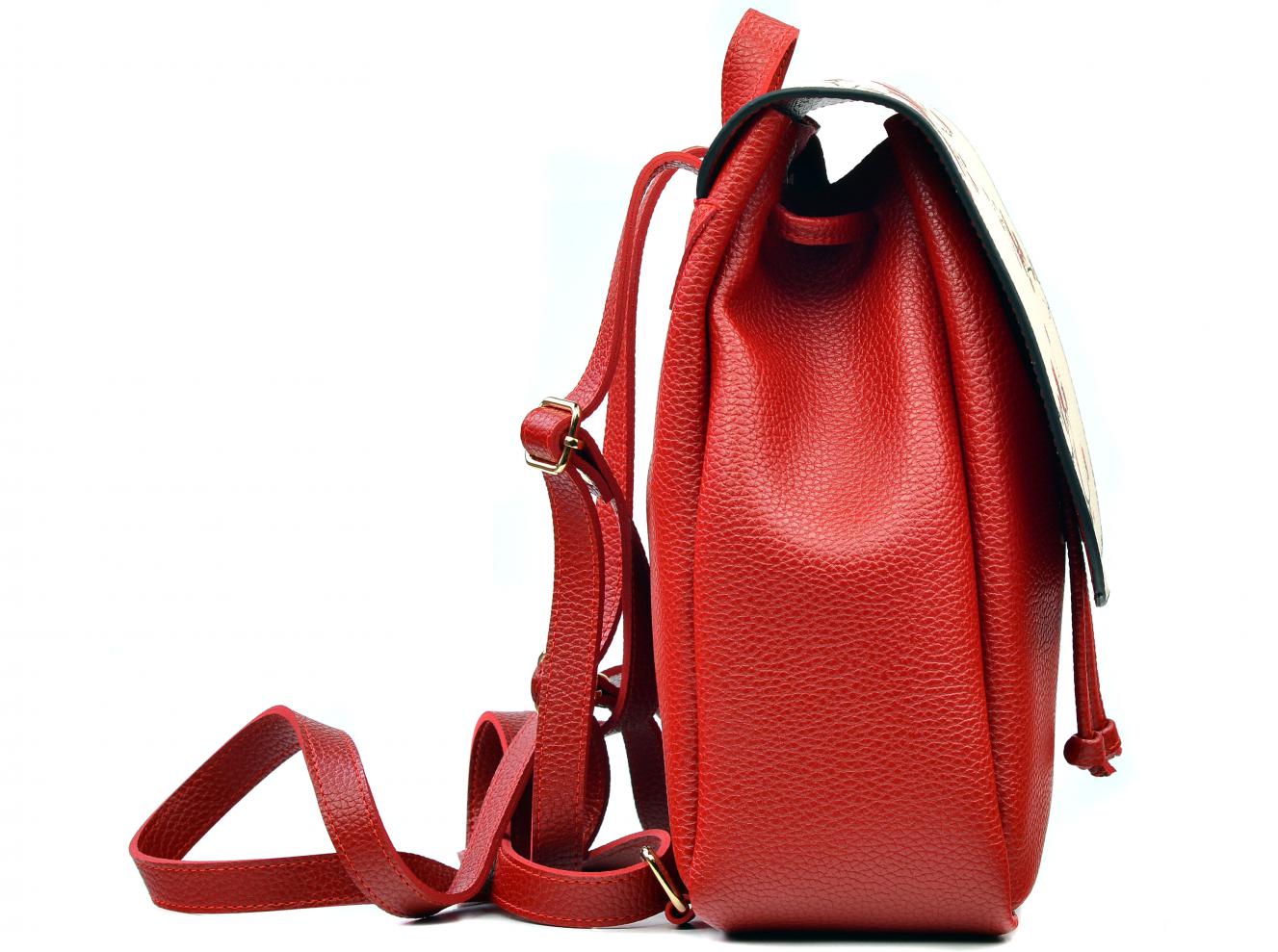 Backpack CAN2601